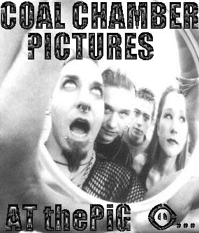 co al chamb.er pictures at ::: the P I G